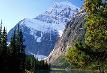 lol官网-日本队横扫中国队，辛杜高光表现